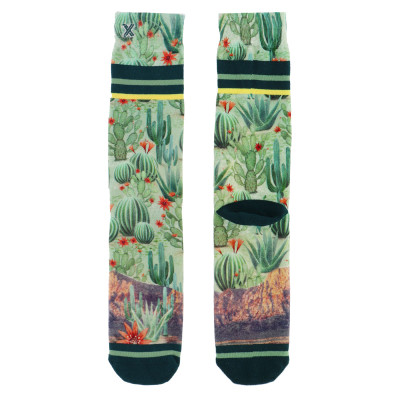 Chaussettes XPOOOS Homme CACTUS Cloane Vannes